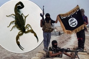 ISIS using bombs containing live SCORPIONS in effort to spread panic