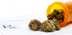 Marijuana Treatment Study on PTSD for Veterans Gets Back on Track